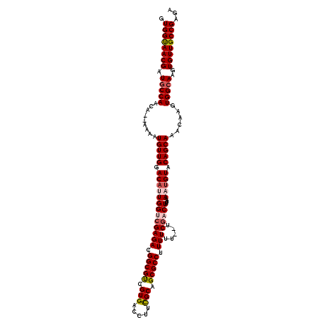 secondary structure