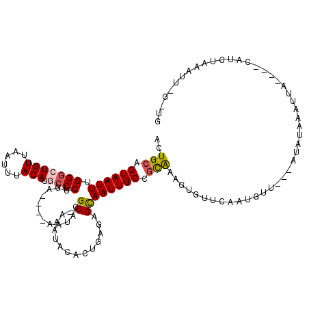 secondary structure