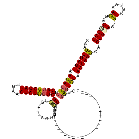 secondary structure