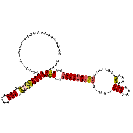 secondary structure
