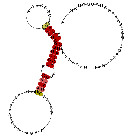 secondary structure