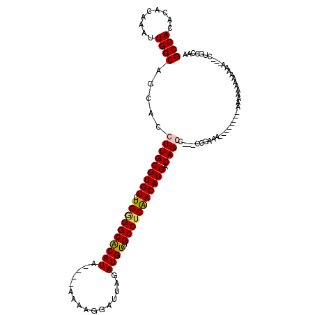 secondary structure