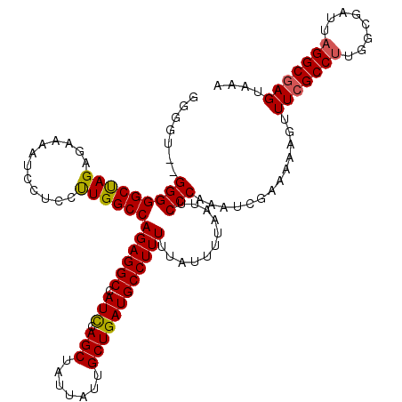 secondary structure