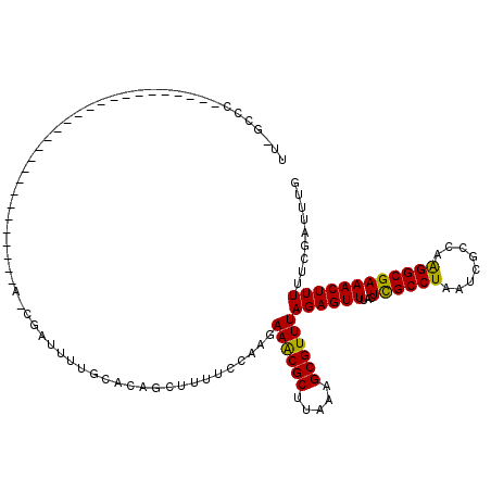 secondary structure