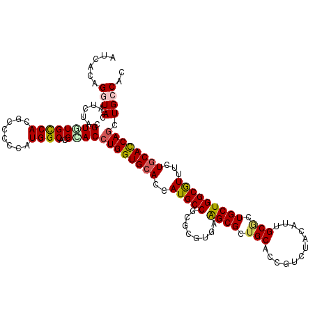 secondary structure