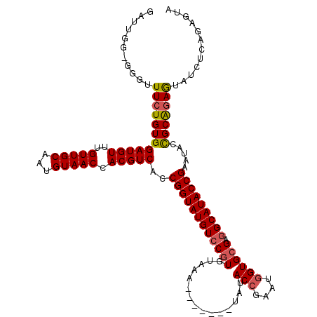 secondary structure