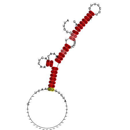 secondary structure