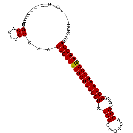secondary structure