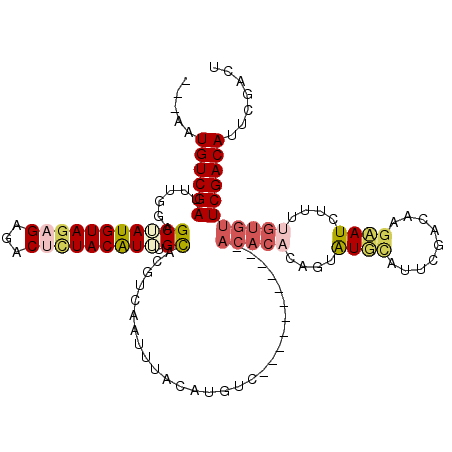 secondary structure