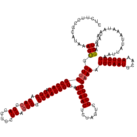 secondary structure
