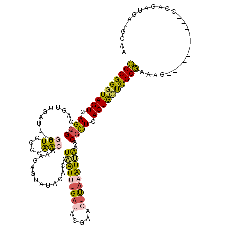 secondary structure