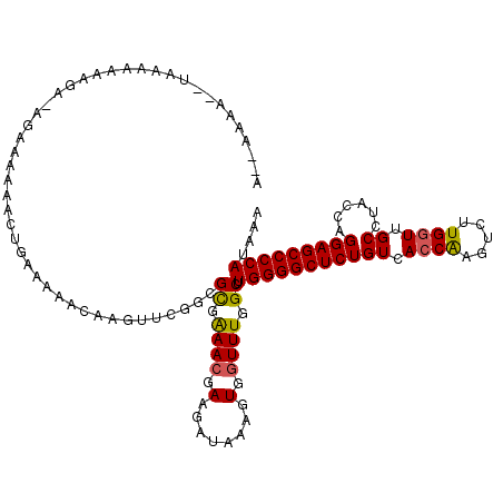 secondary structure