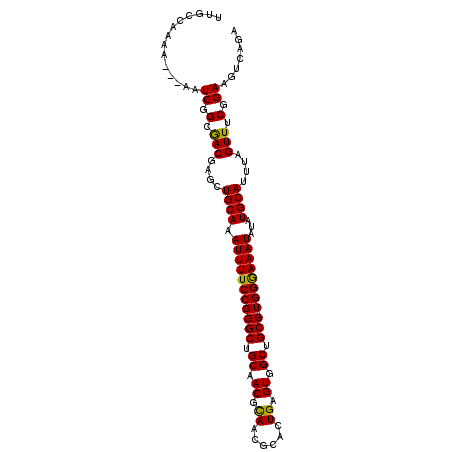 secondary structure