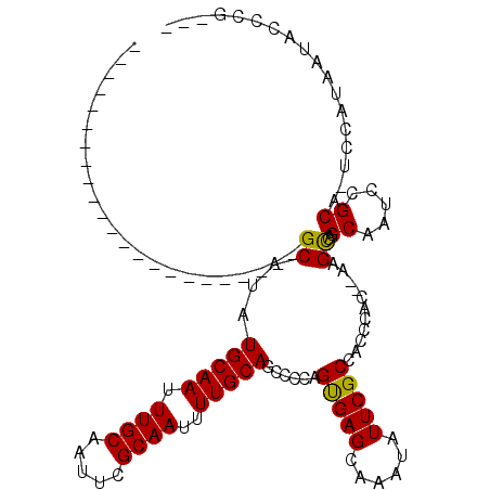 secondary structure