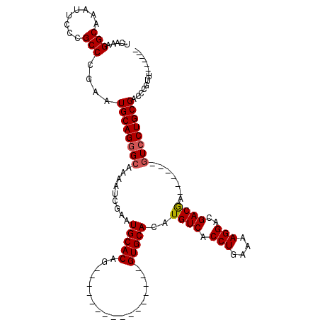 secondary structure
