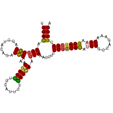 secondary structure