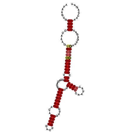 secondary structure