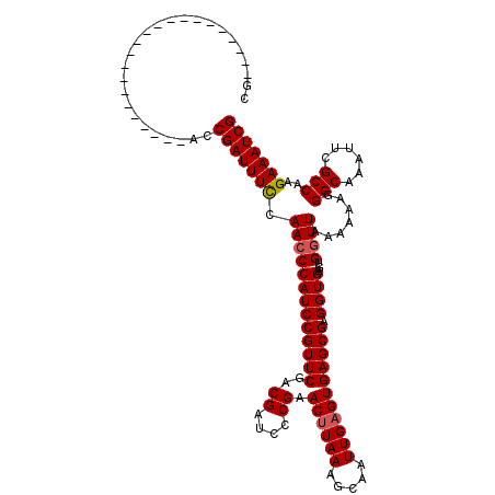 secondary structure