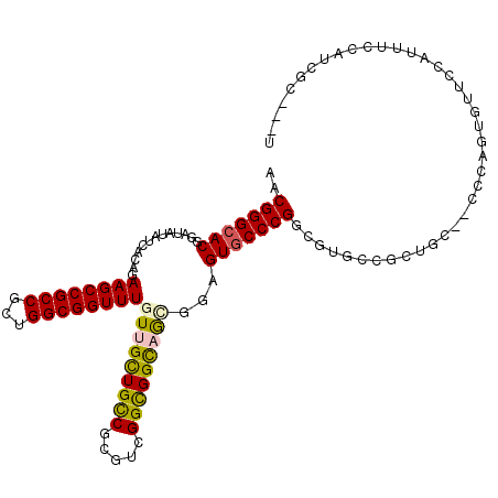 secondary structure