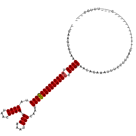 secondary structure