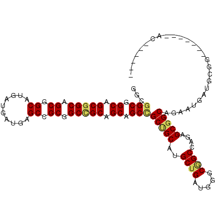 secondary structure