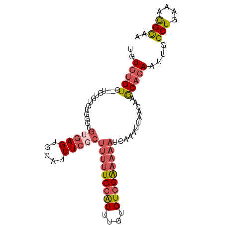 secondary structure