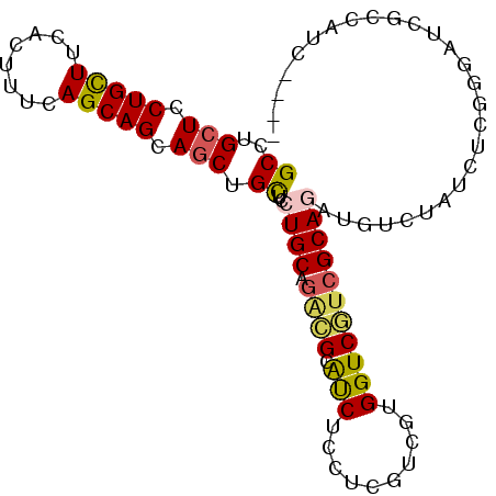 secondary structure