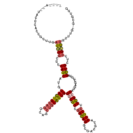 secondary structure