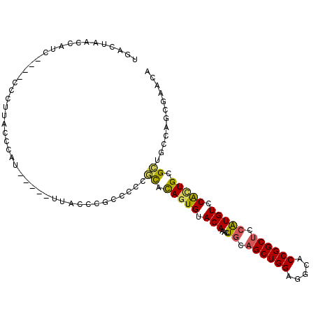 secondary structure