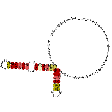 secondary structure