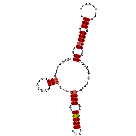secondary structure