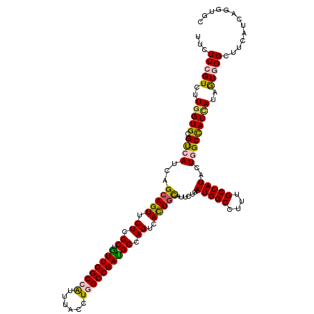 secondary structure