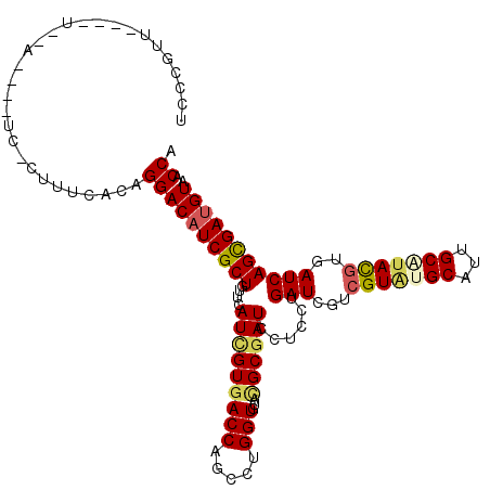 secondary structure