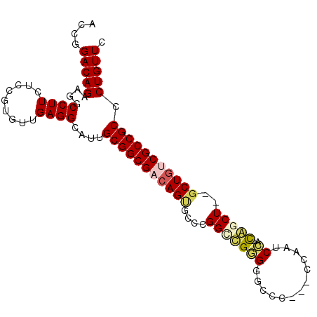 secondary structure