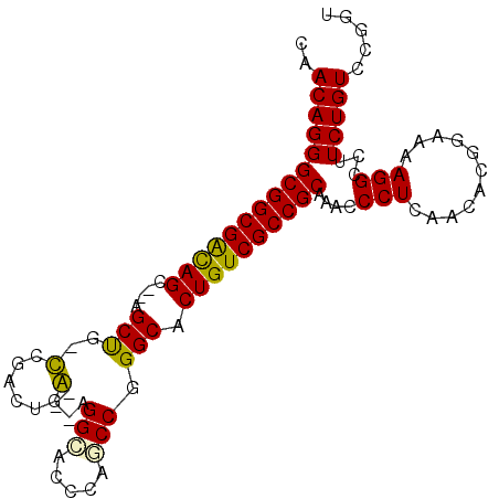 secondary structure