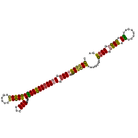 secondary structure