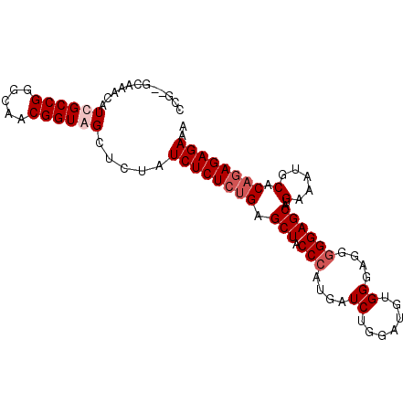 secondary structure