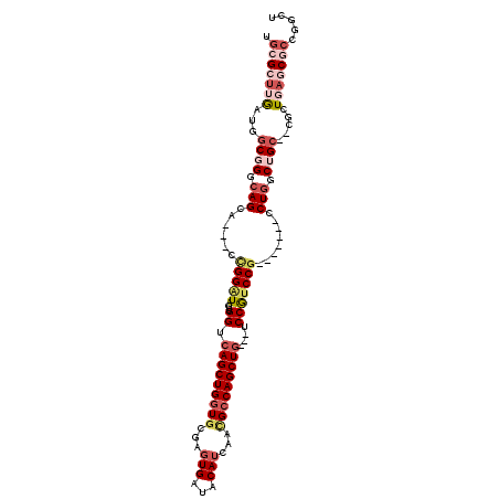 secondary structure