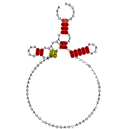secondary structure