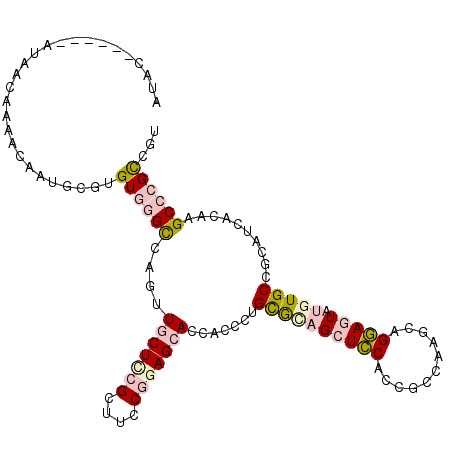 secondary structure