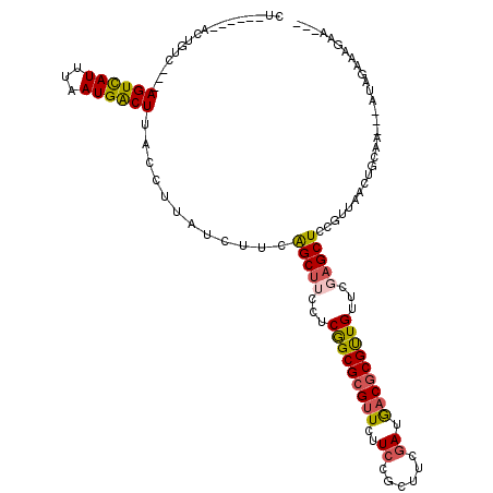 secondary structure