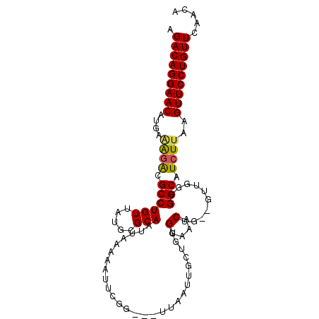 secondary structure
