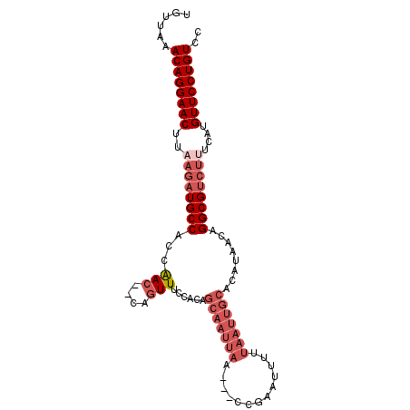 secondary structure