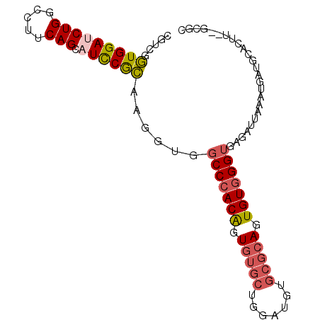 secondary structure