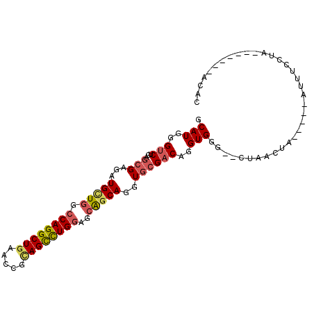 secondary structure