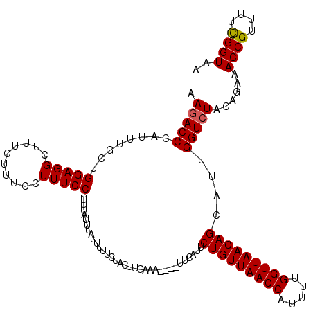 secondary structure