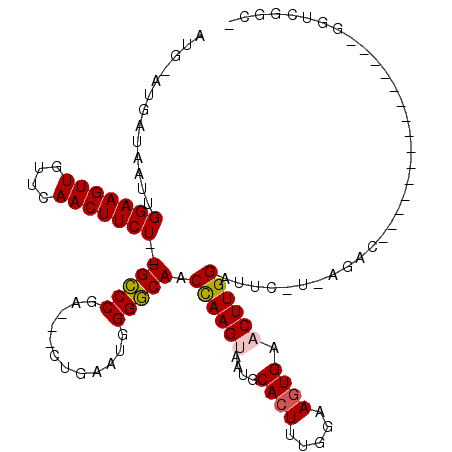 secondary structure