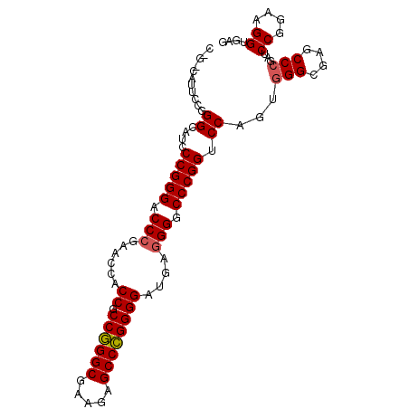secondary structure
