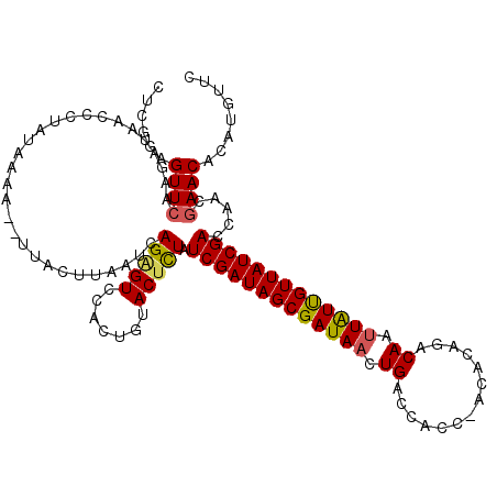 secondary structure