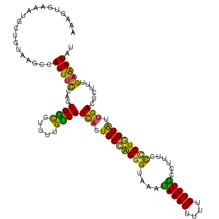 secondary structure
